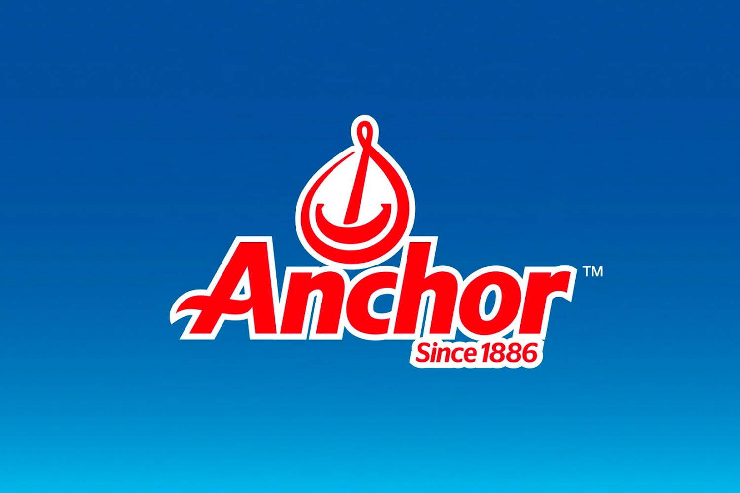 Anchor Franchise Business for Sale