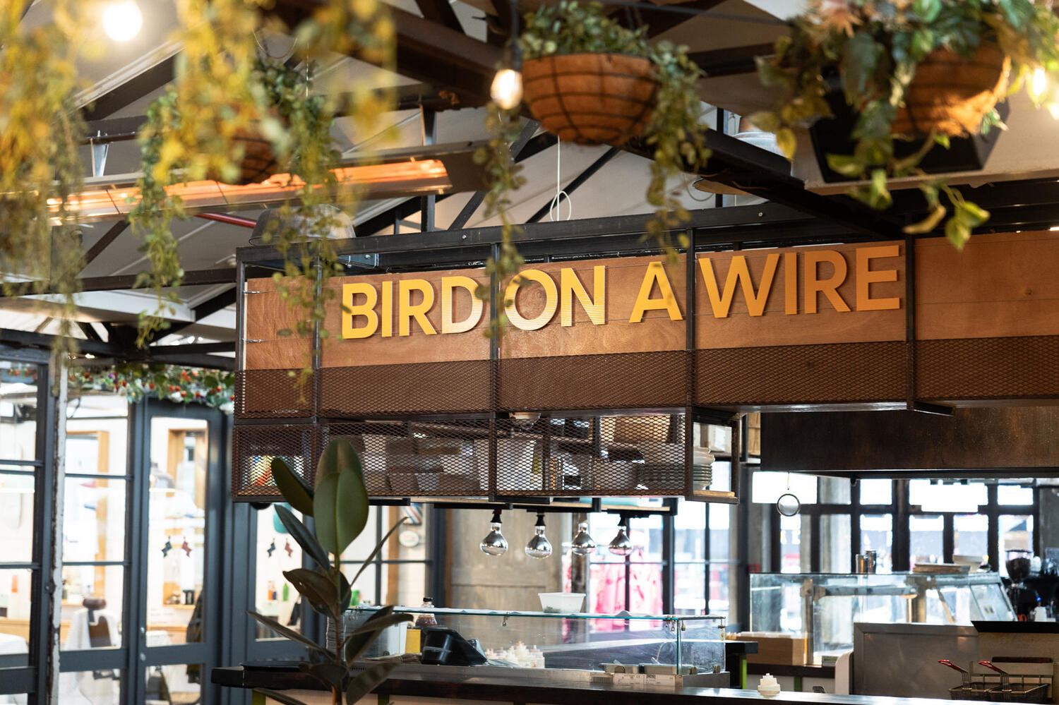 BIRD Ponsonby Central Web3 Kakapo Business Sales